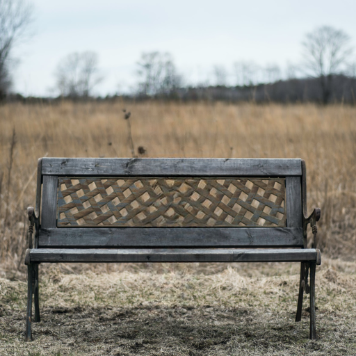 Same photo after AI object removal with clean natural background